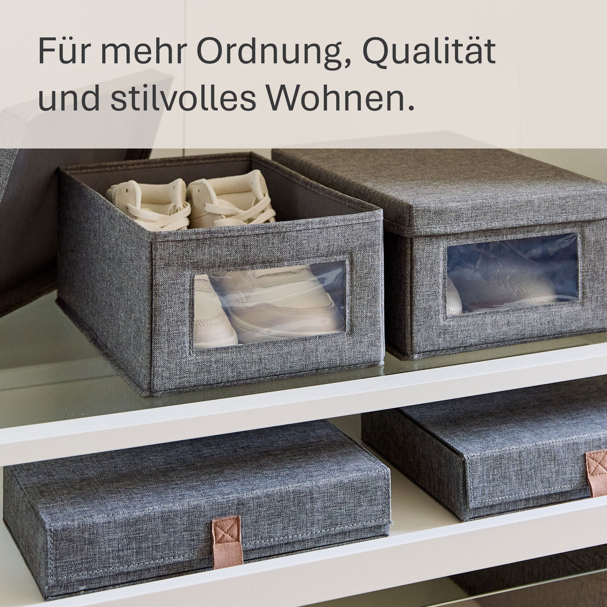 Premium 2 Stück Aufbewahrungsbox Schuhe